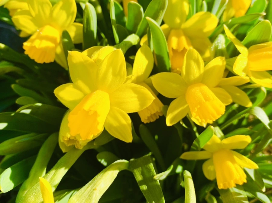 IMG_2570.jpg?type=w966