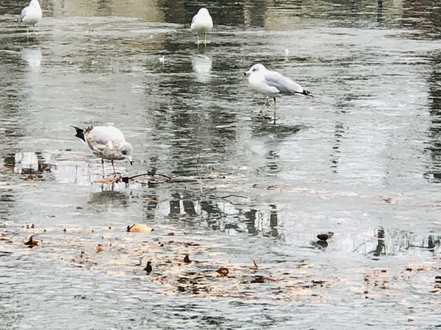 IMG_3116.jpg?type=w966