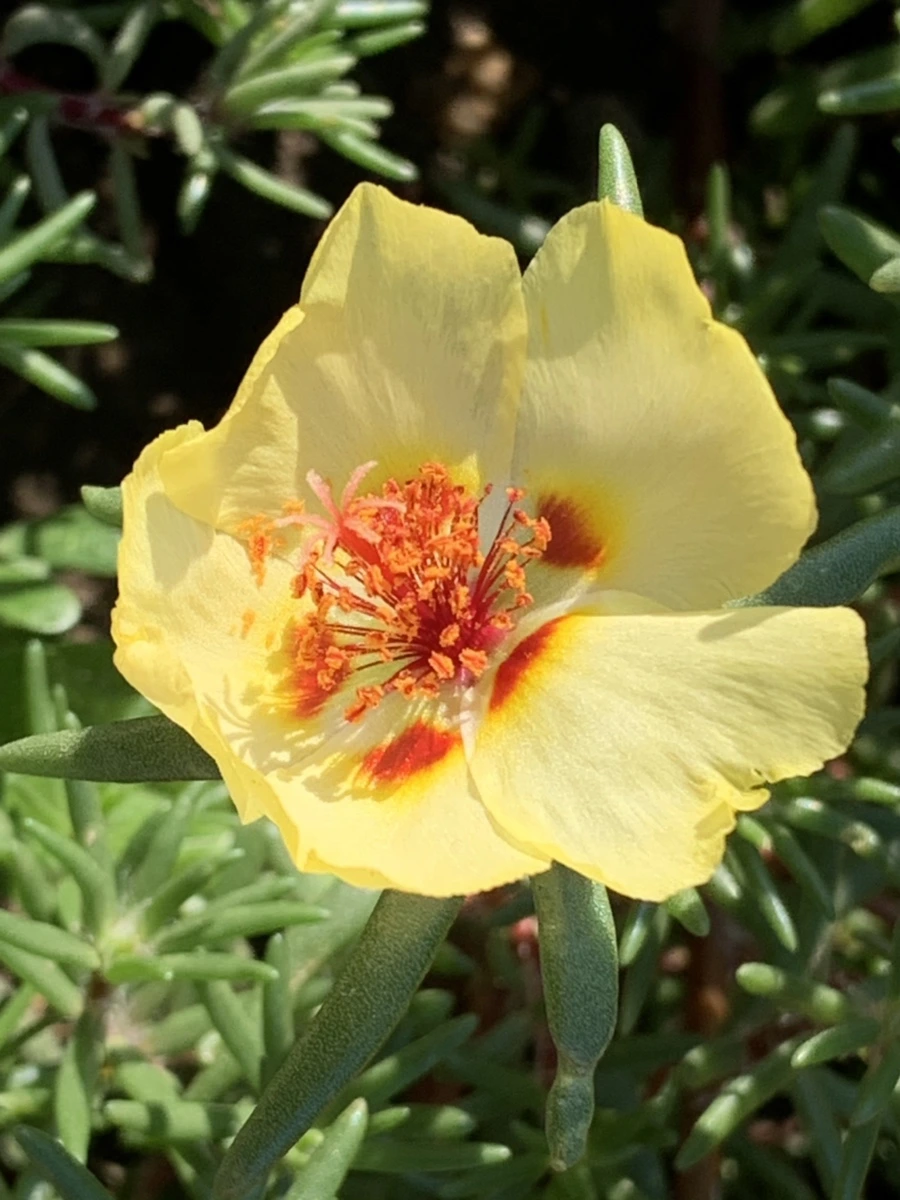 IMG_8381.jpg?type=w966