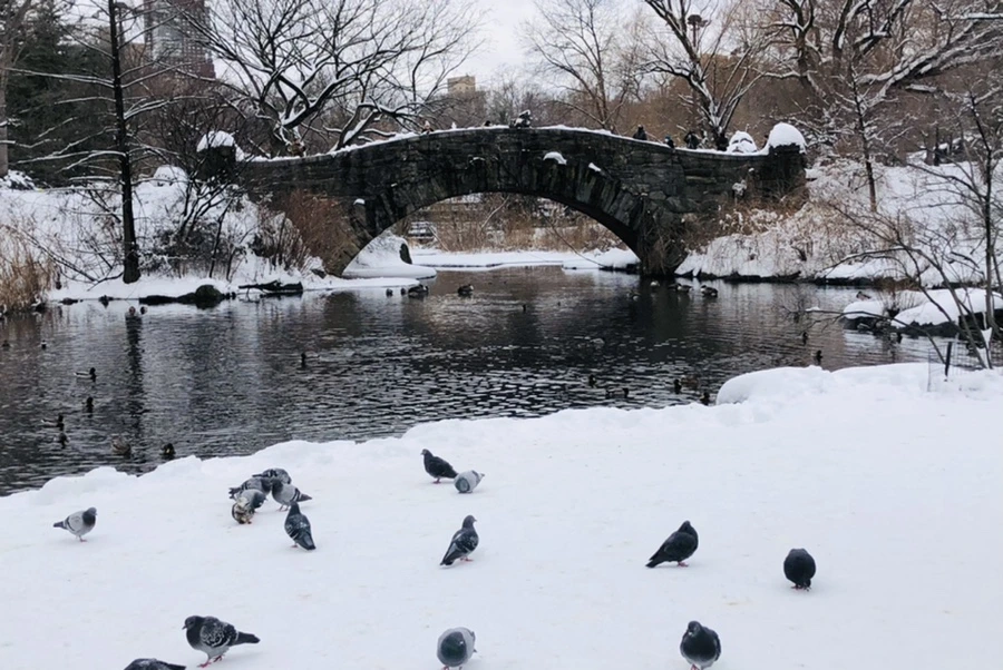 IMG_9589.jpg?type=w966