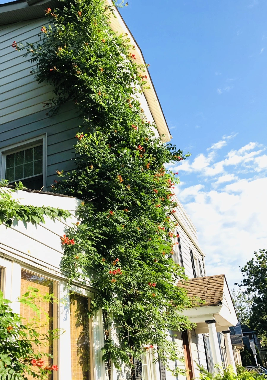 IMG_2124.jpg?type=w966