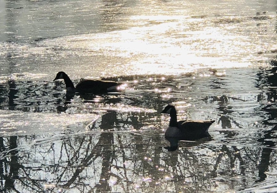 IMG_2786.jpg?type=w966