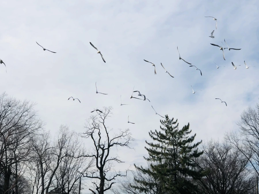 IMG_4711.jpg?type=w966