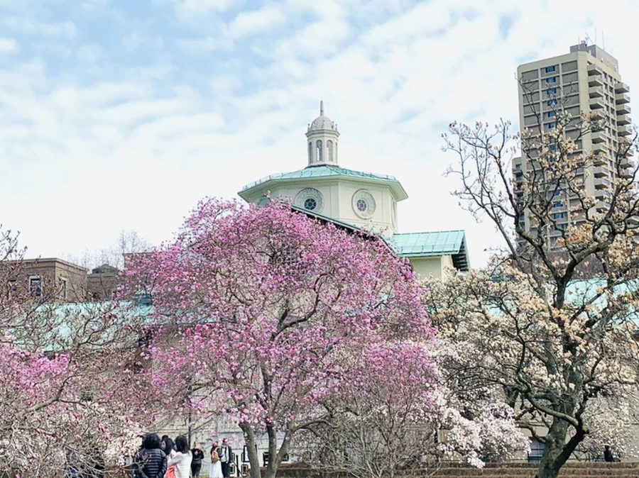 IMG_7252.jpg?type=w966