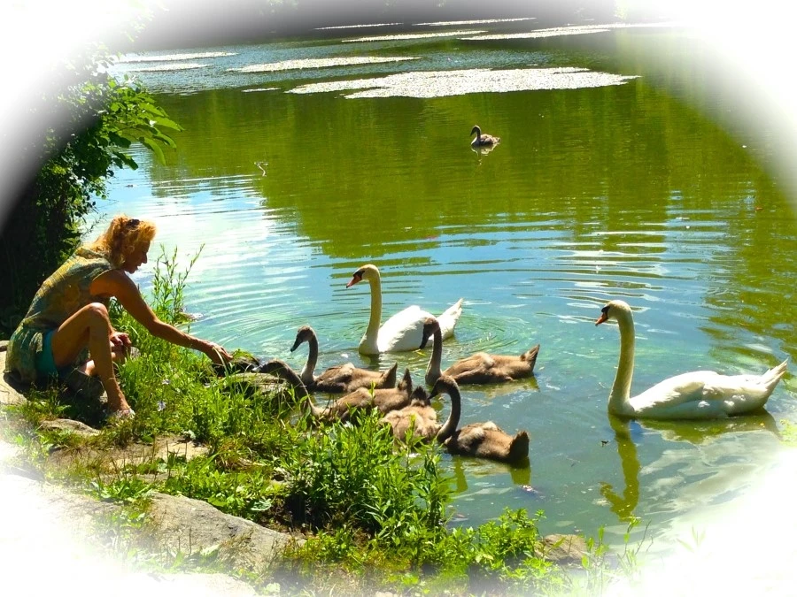 IMG_8978.JPG?type=w1