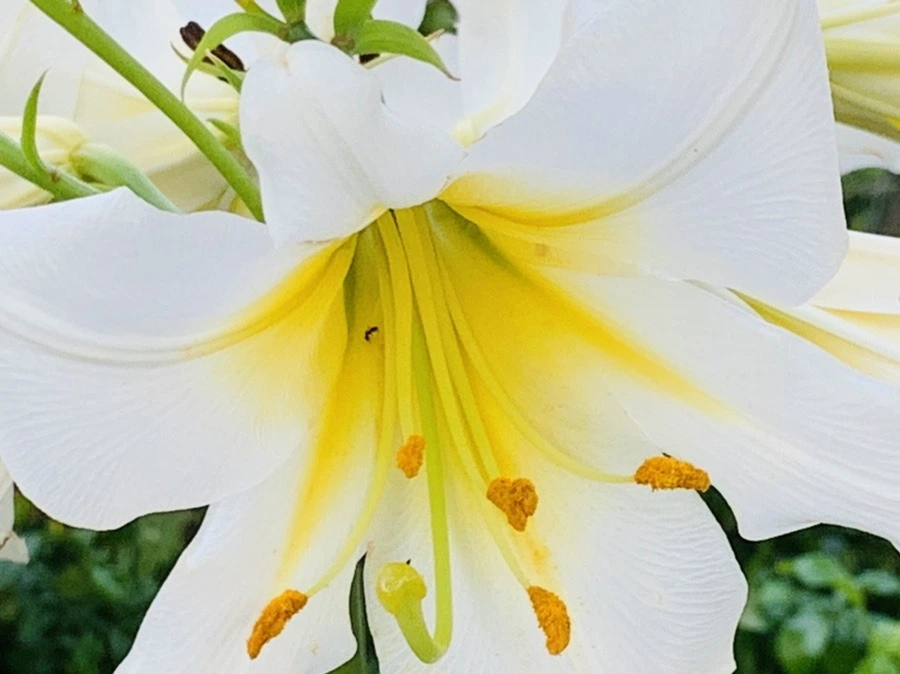 1jXrEZYE4YR9JsxNugtt6Zdd9EE