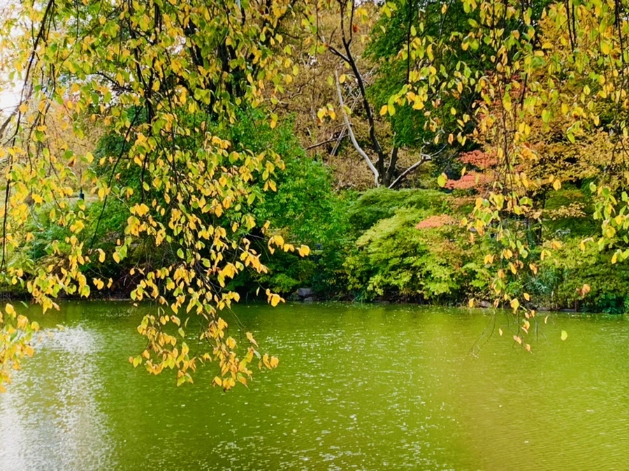 IMG_0194.jpg?type=w966