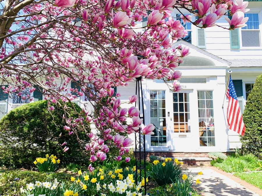 IMG_8575.jpg?type=w966