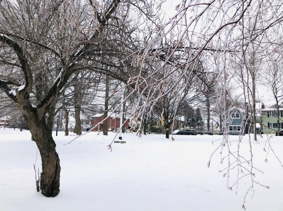 IMG_3690.jpg?type=w966