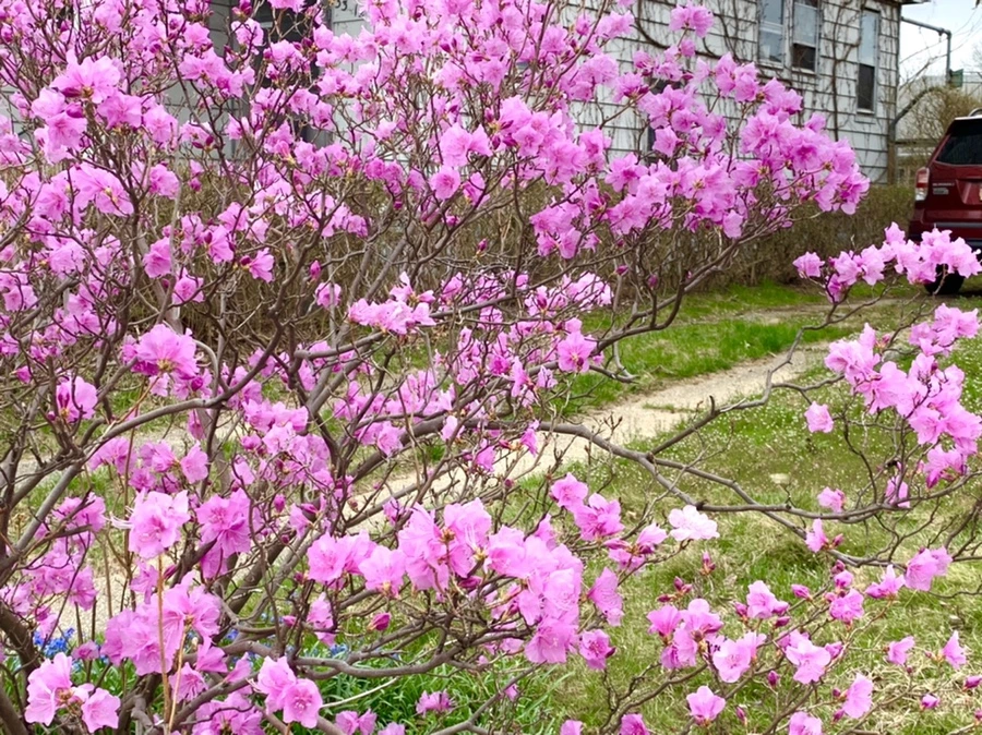 IMG_5985.jpg?type=w966