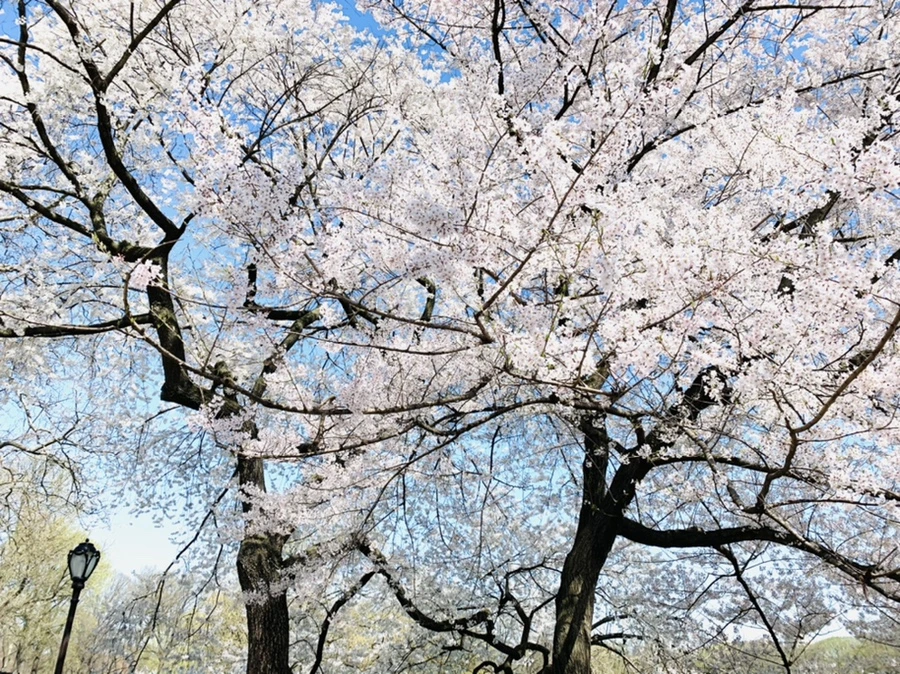 IMG_8924.jpg?type=w966