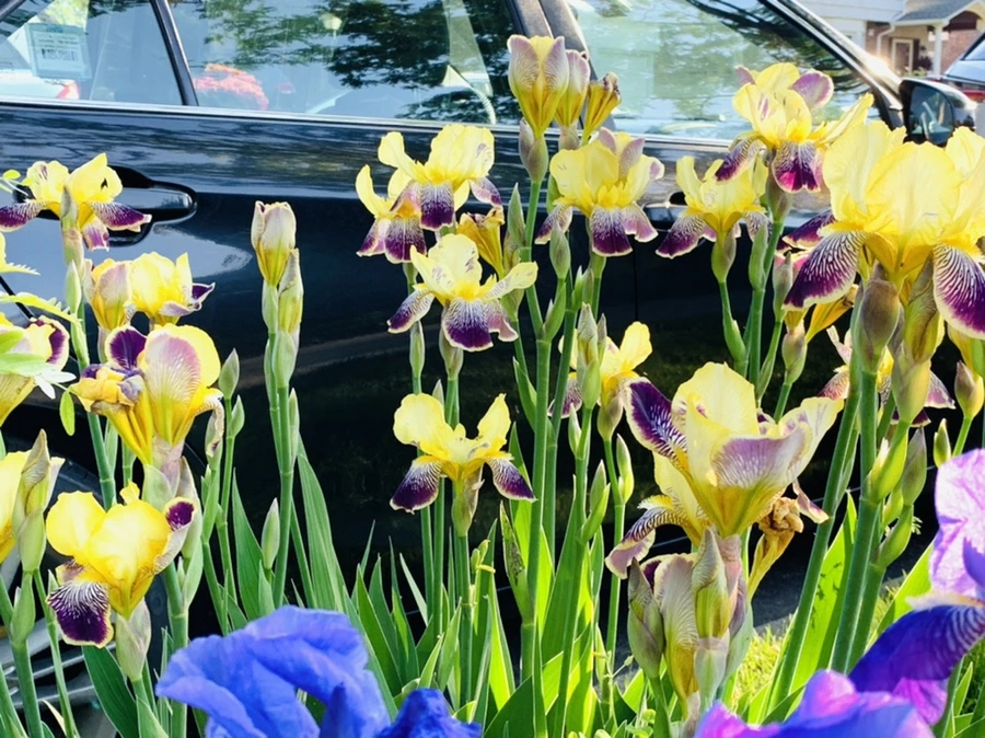 IMG_3367.jpg?type=w966