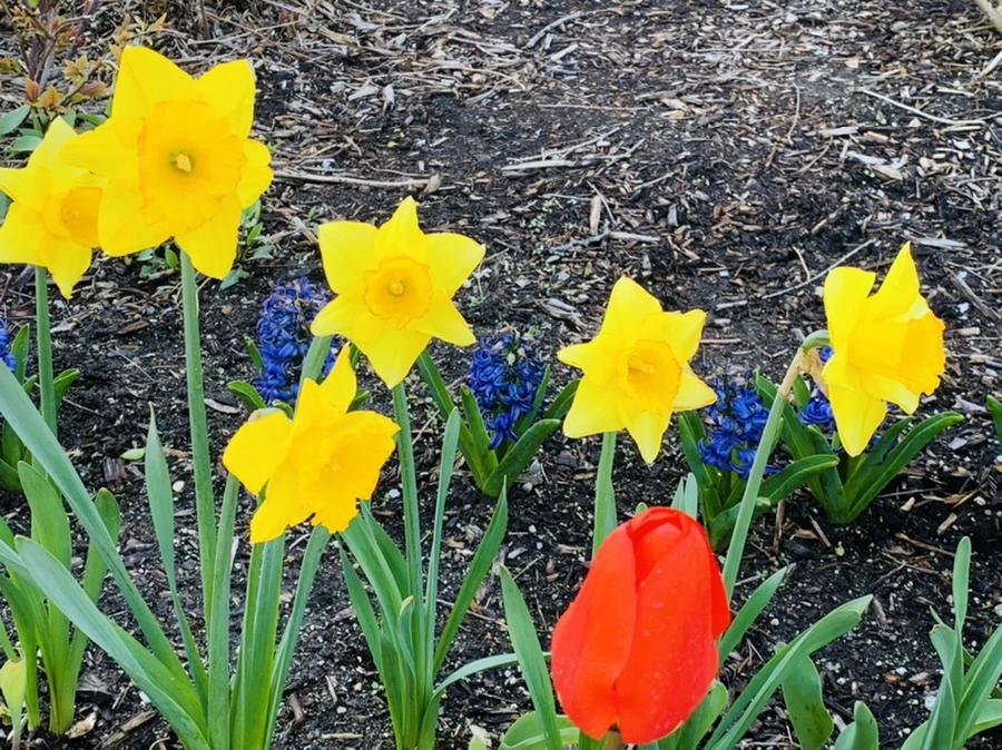 IMG_5063.jpg?type=w966