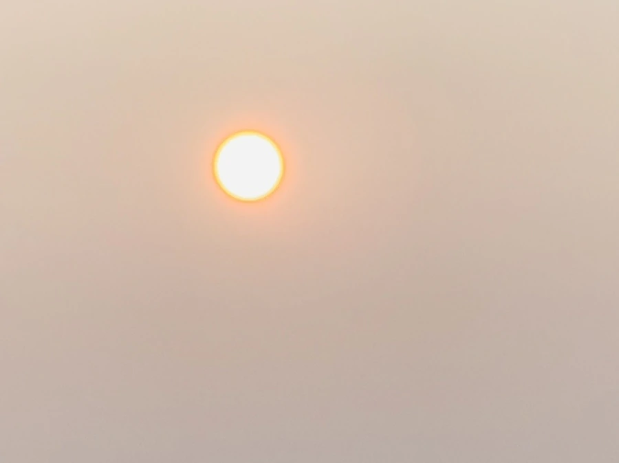 IMG_8496.jpg?type=w966