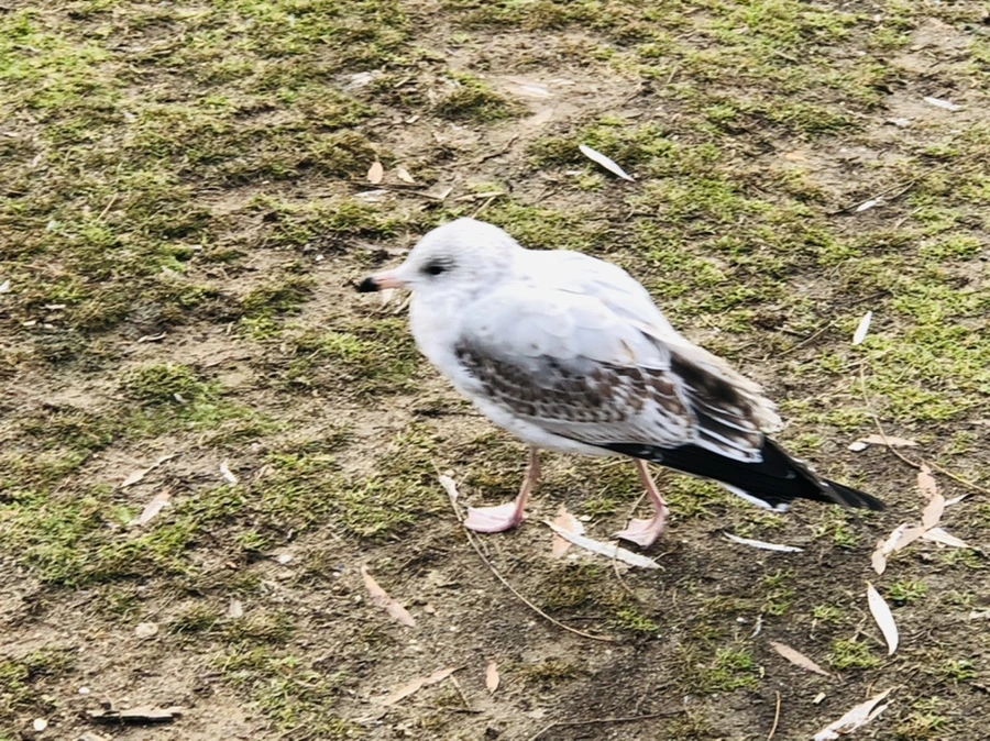 IMG_9907.jpg?type=w966