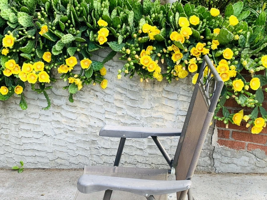 IMG_2681.jpg?type=w966