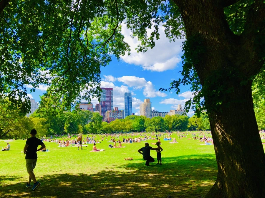 IMG_8860.jpg?type=w966