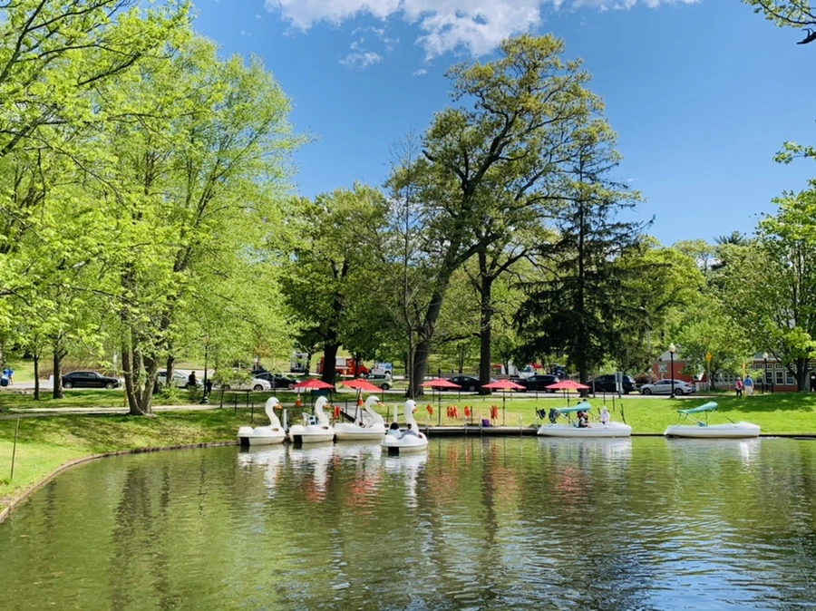 IMG_2468.jpg?type=w966