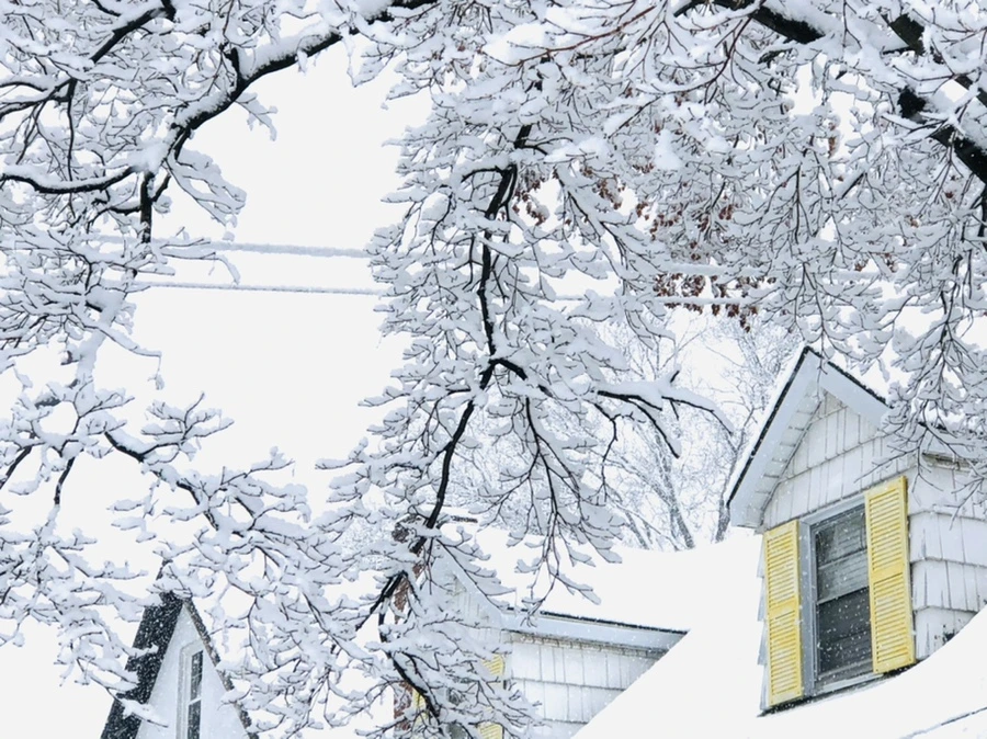 IMG_0984.jpg?type=w966