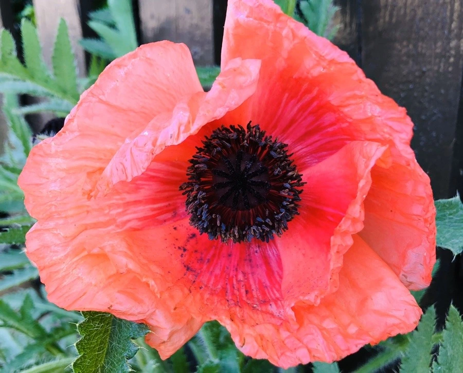 _n2NEQQdgvjaHBxkpjkHi-KTNVY