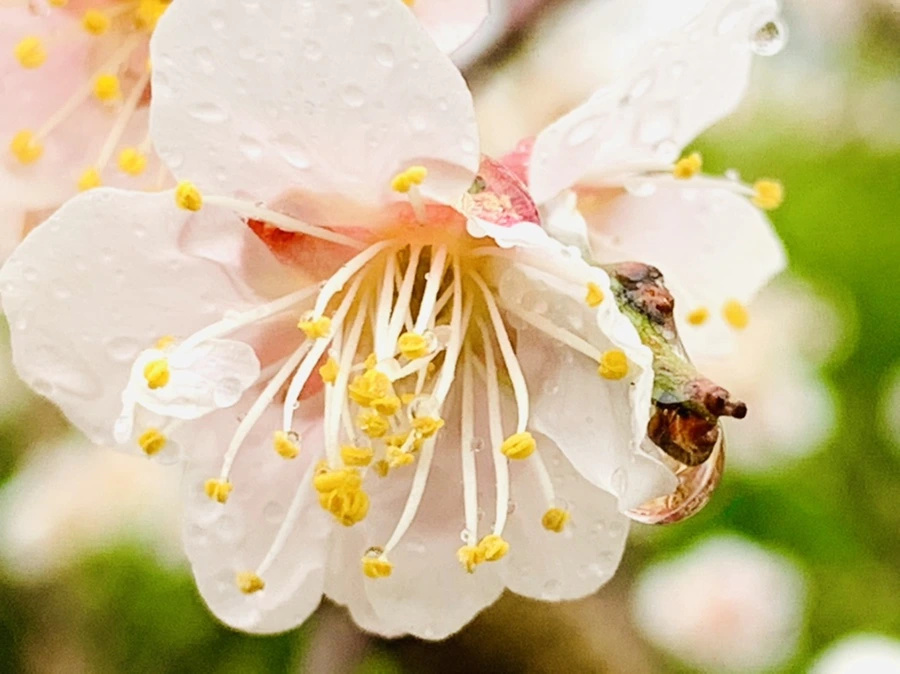 IMG_1946.jpg?type=w966