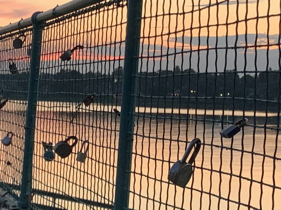 IMG_1149.jpg?type=w966