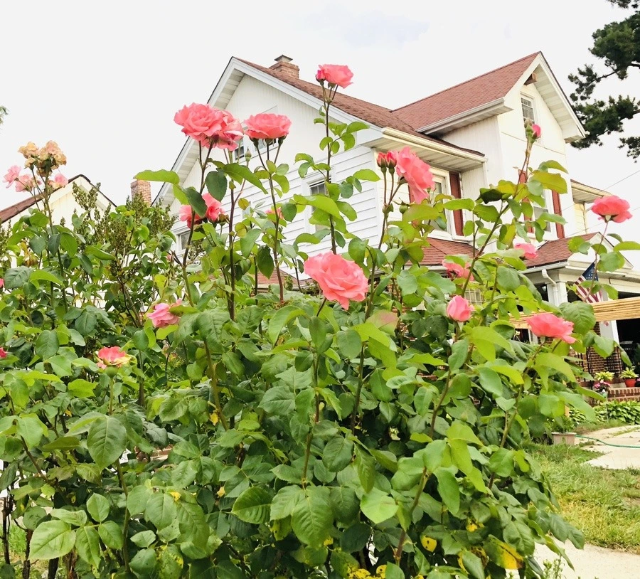 AB8HUpXy0gTAGWWWblf_xjusfss