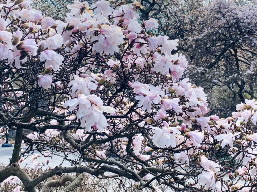 IMG_6505.jpg?type=w966