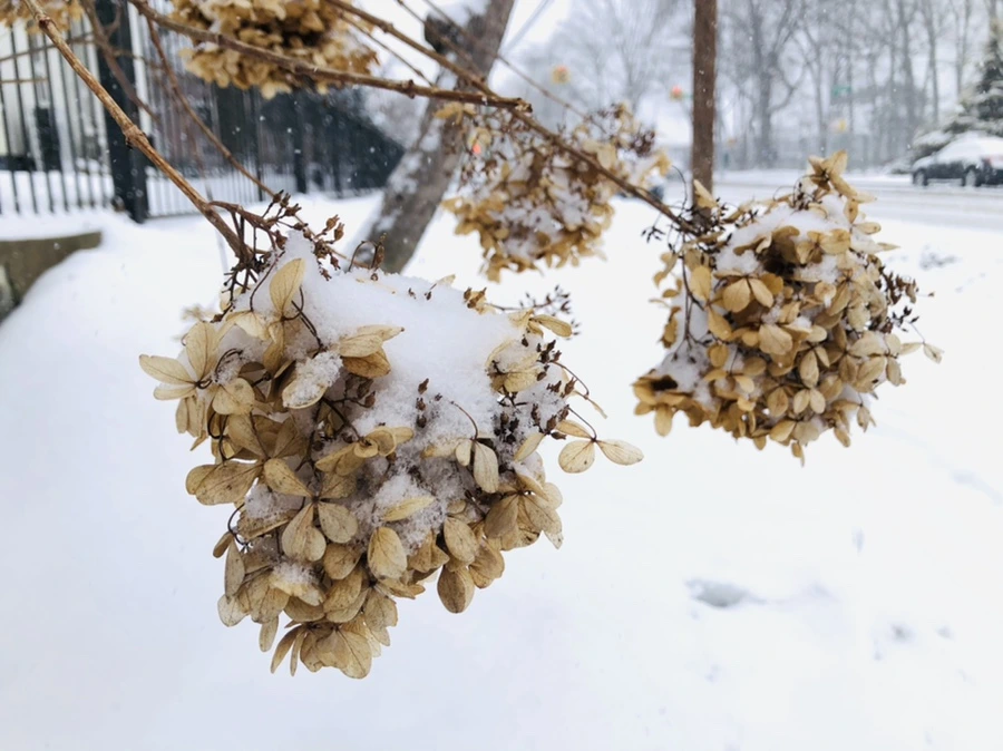 IMG_3329.jpg?type=w966