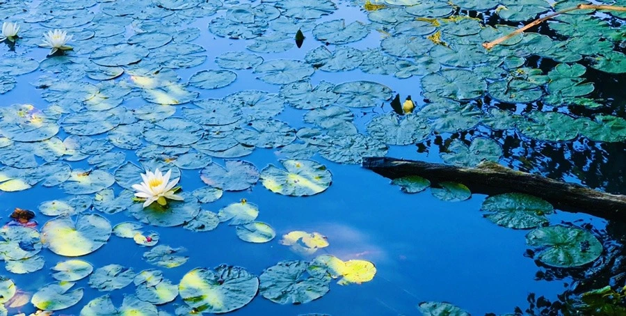 TMDn_pFvhSL3hPqdfmiNimvqqY8