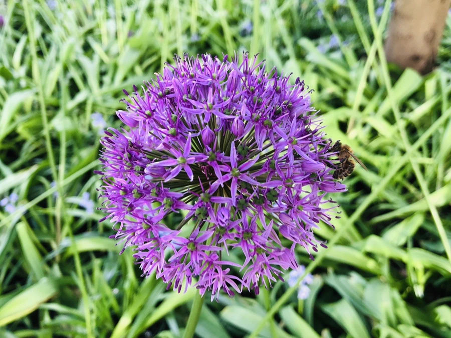 IMG_4682.jpg?type=w966