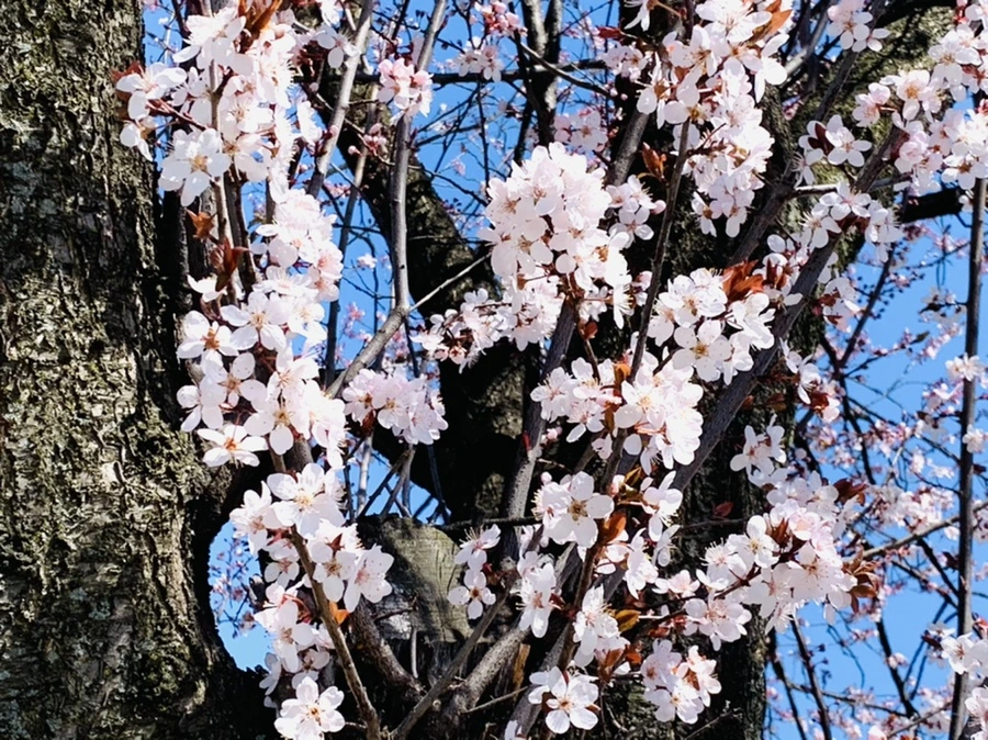 IMG_7751.jpg?type=w966