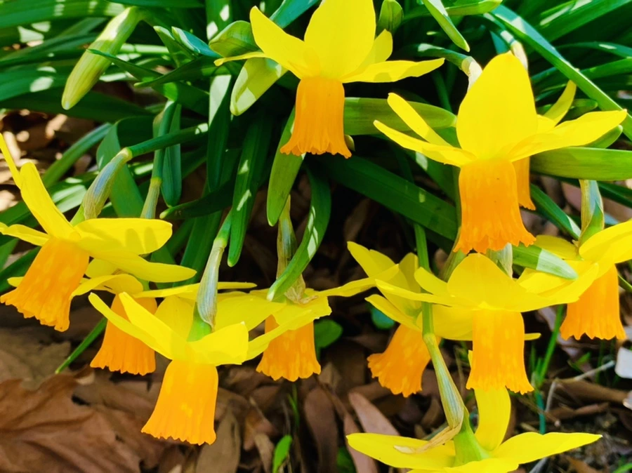 IMG_5821.jpg?type=w966