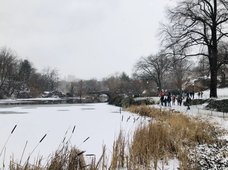 IMG_3736.jpg?type=w966