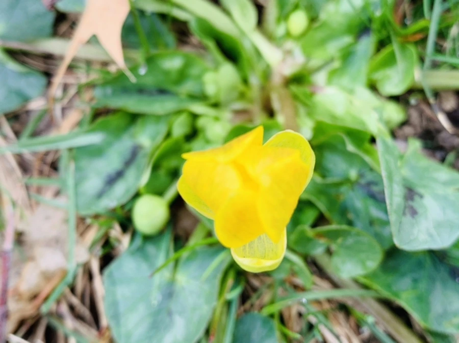 IMG_3446.jpg?type=w966