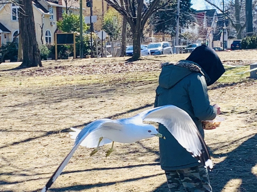 IMG_8282.jpg?type=w966