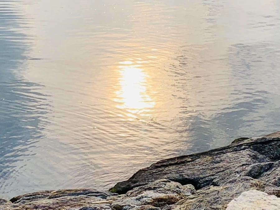 IMG_1590.jpg?type=w966