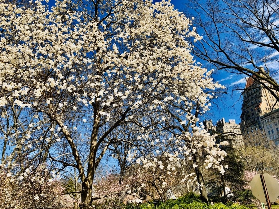 YYv8xMnP02VZC3ztlgLsFSGRLFQ