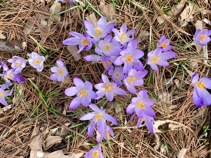 IMG_0437.jpg?type=w966