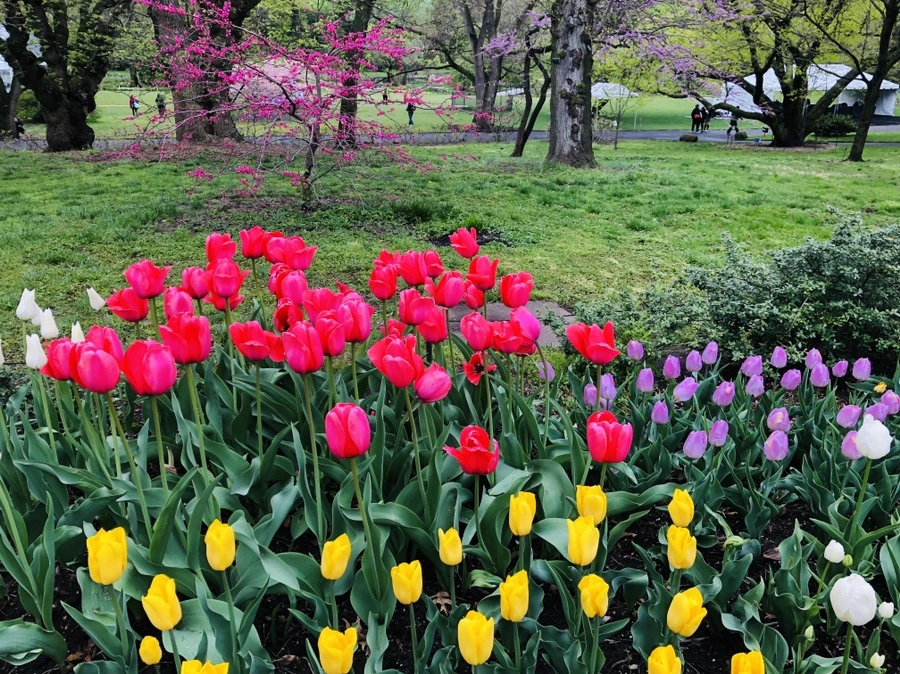 IMG_3727.jpg?type=w966