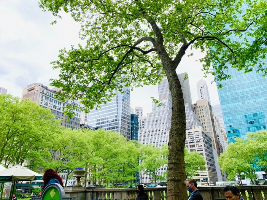 IMG_1705.jpg?type=w966