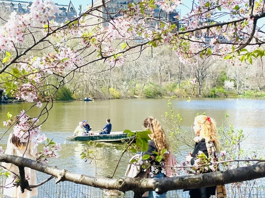 QisOBK6qkjQ3RN0wWqu12_gDvHU