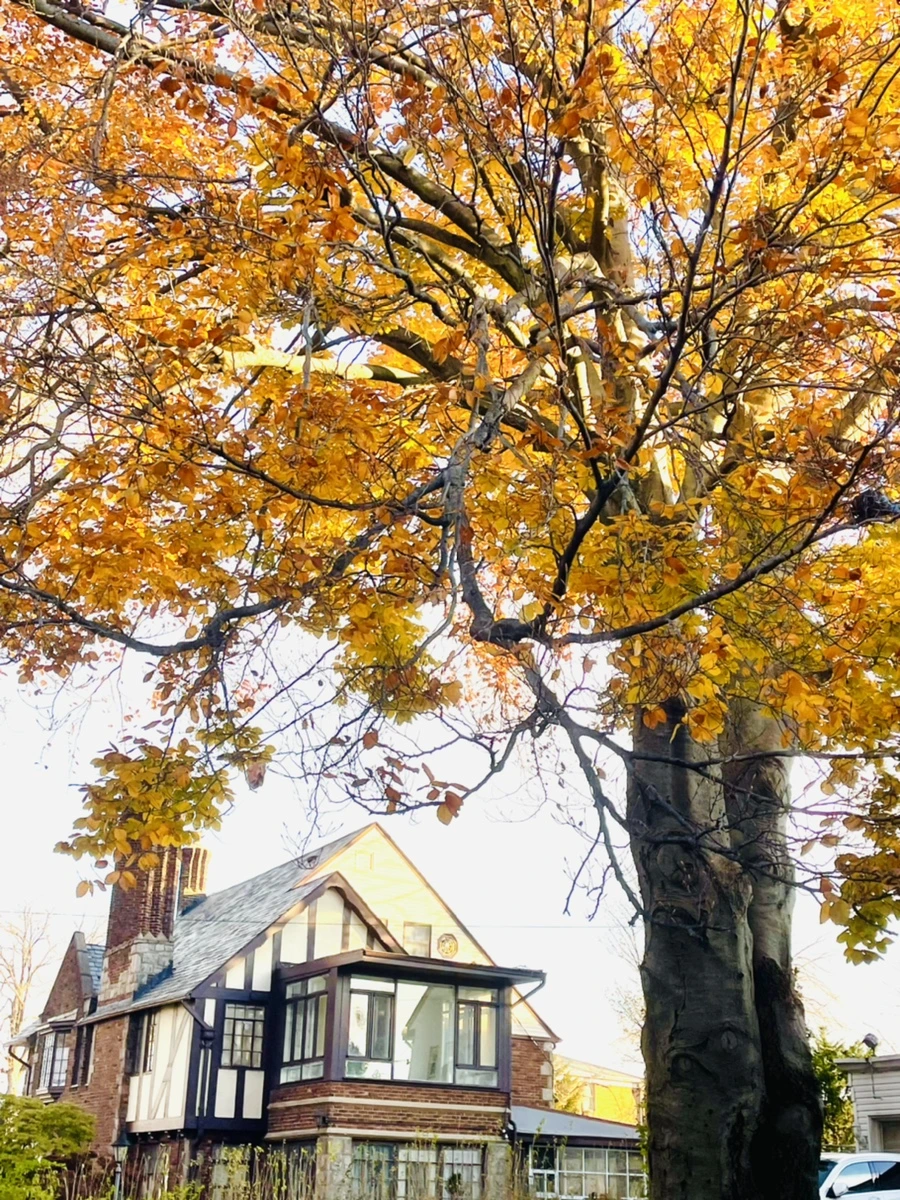 IMG_5968.jpg?type=w966