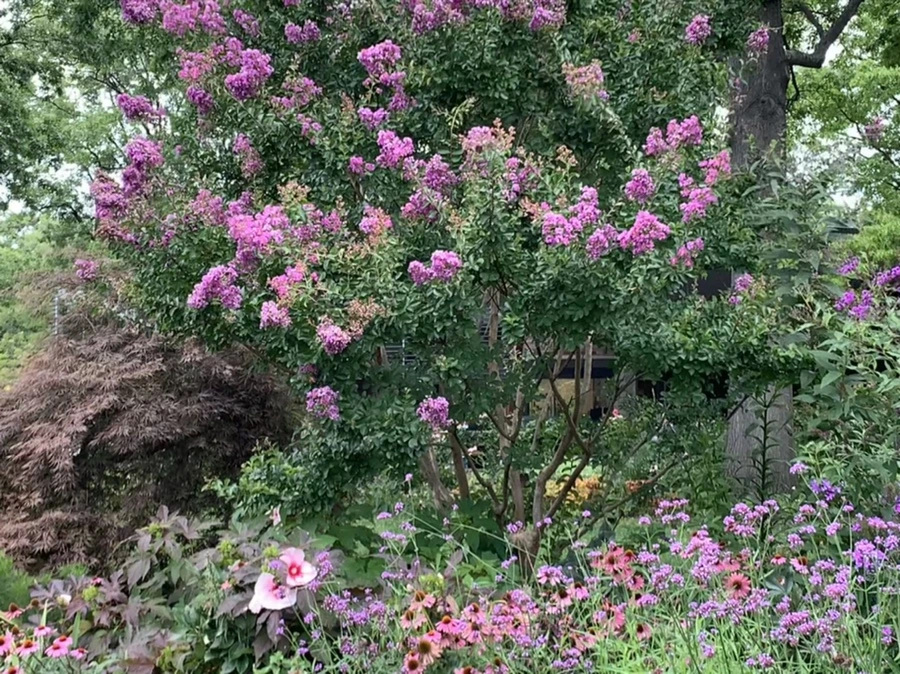 IMG_5089.jpg?type=w966