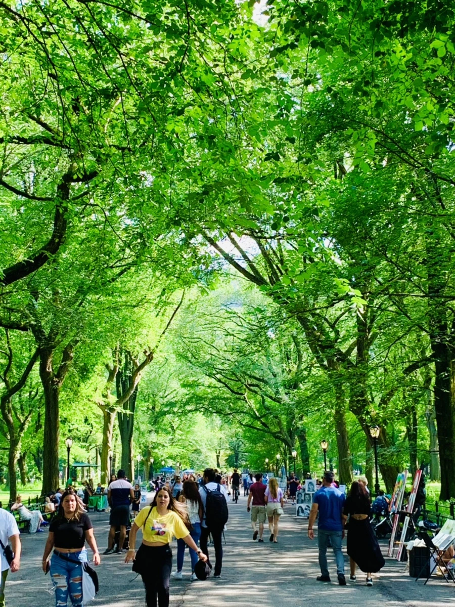 IMG_3533.jpg?type=w966