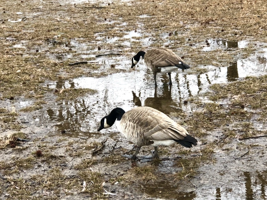 IMG_6561.jpg?type=w966