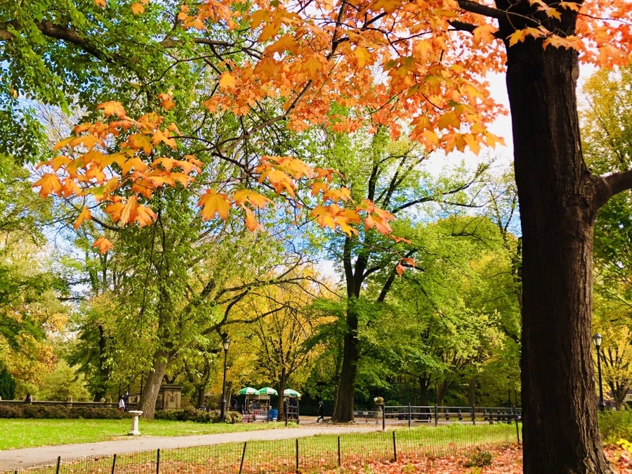 IMG_3061.jpg?type=w966