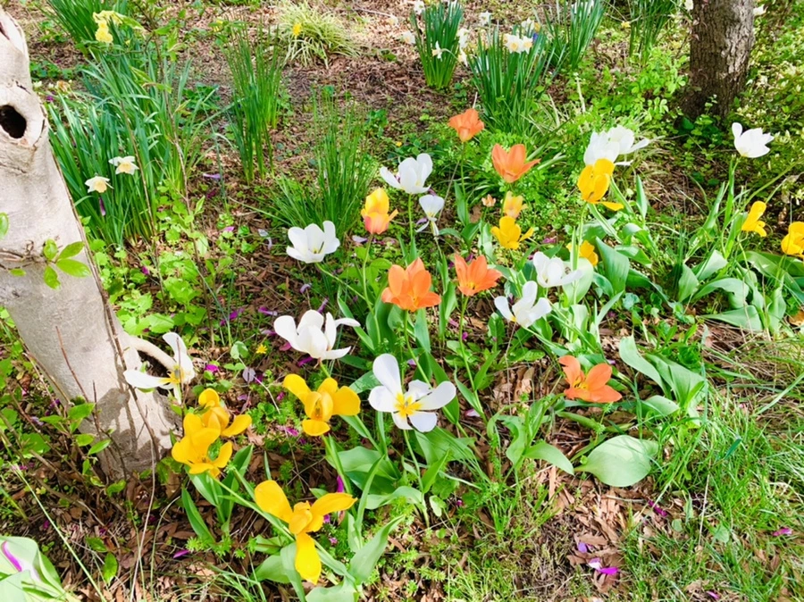 IMG_7013.jpg?type=w966