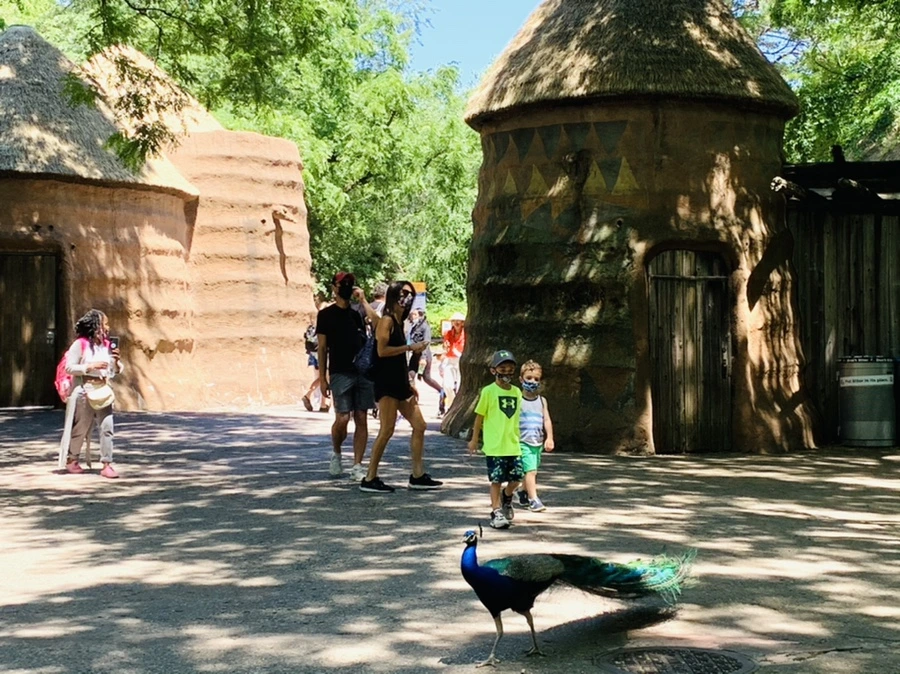 IMG_4204.jpg?type=w966