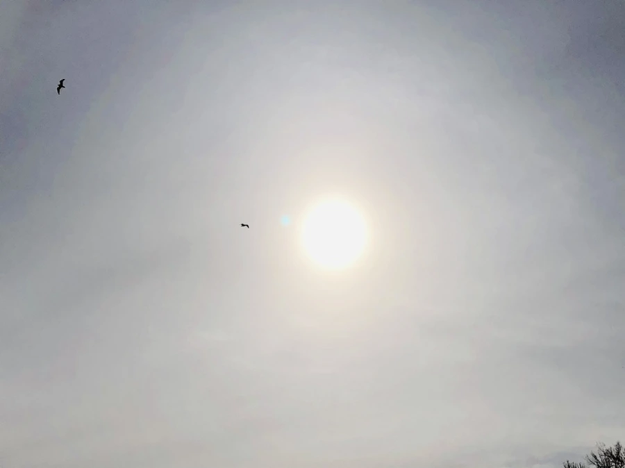 IMG_1688.jpg?type=w966